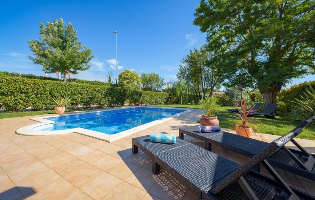 Villa Vigneri Novigrad  Exterior photo